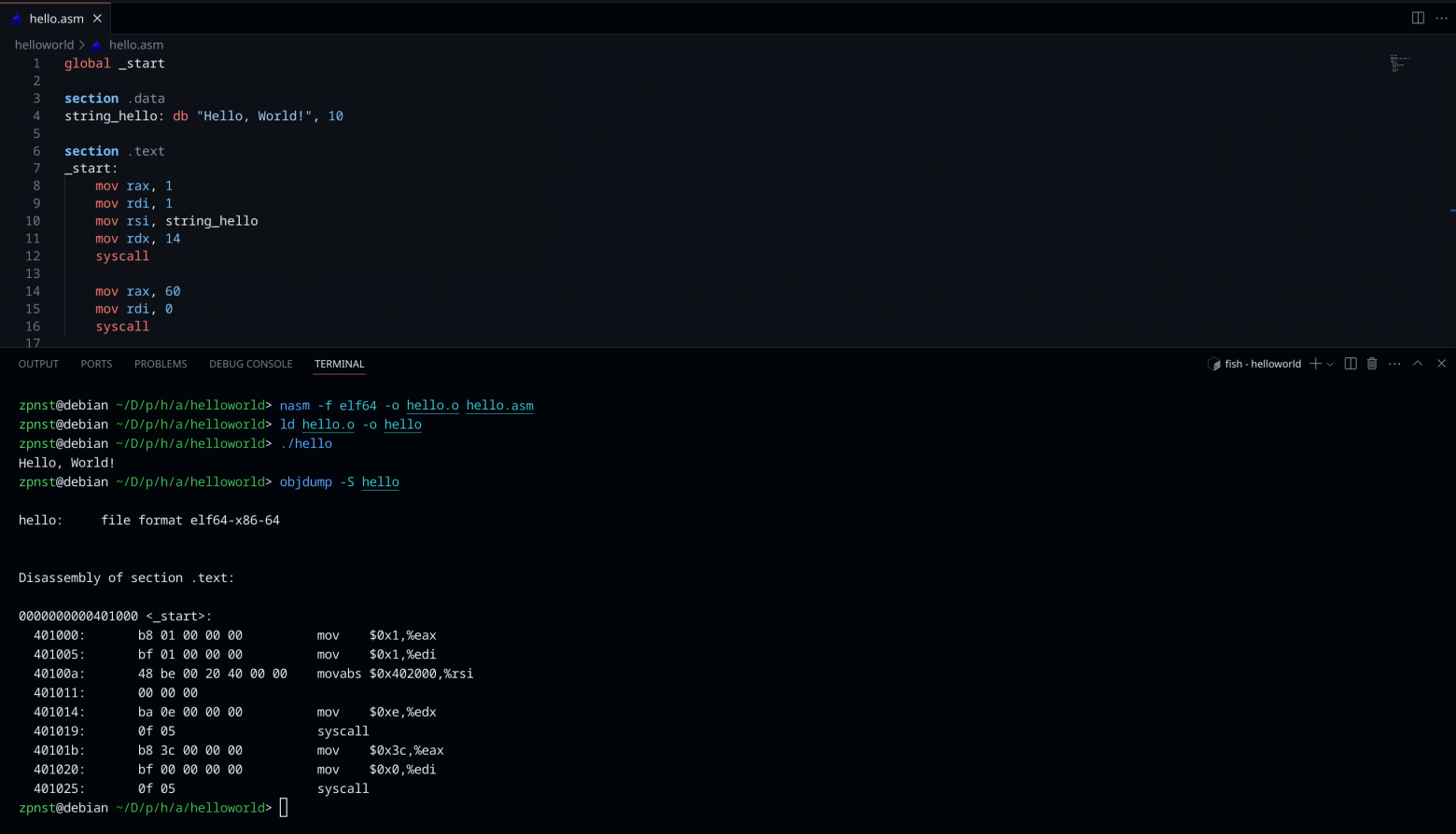 Build and run output