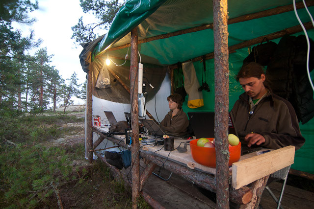 Evening at the office