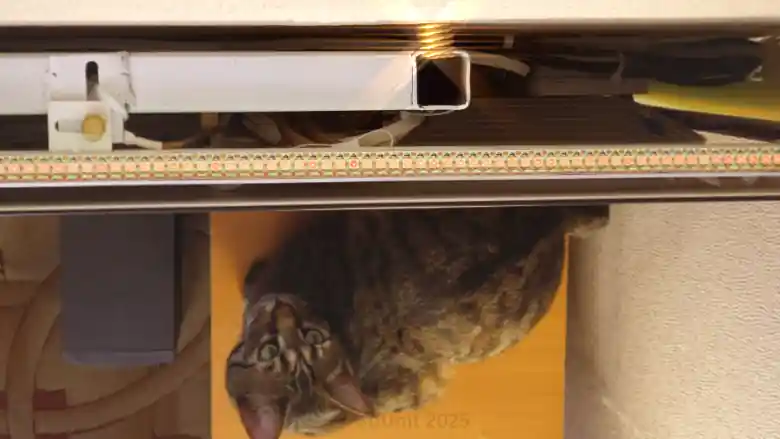 Video wall with ambient backlight