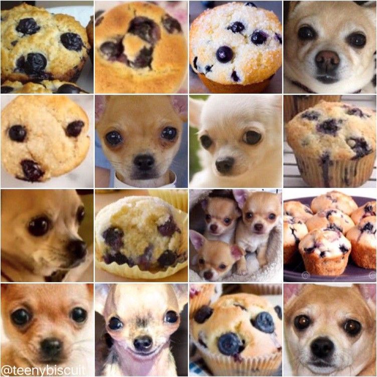 Emergent abilities graph