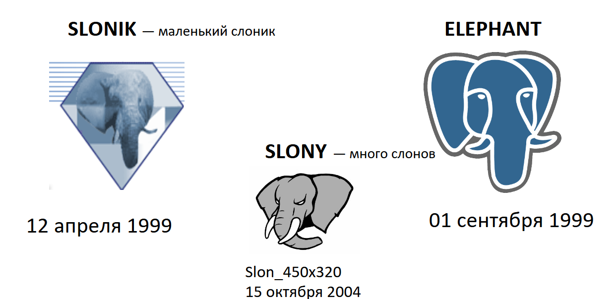 Evolution of the elephants