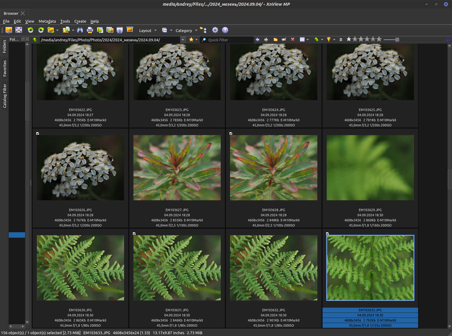 XnView interface with marked frames
