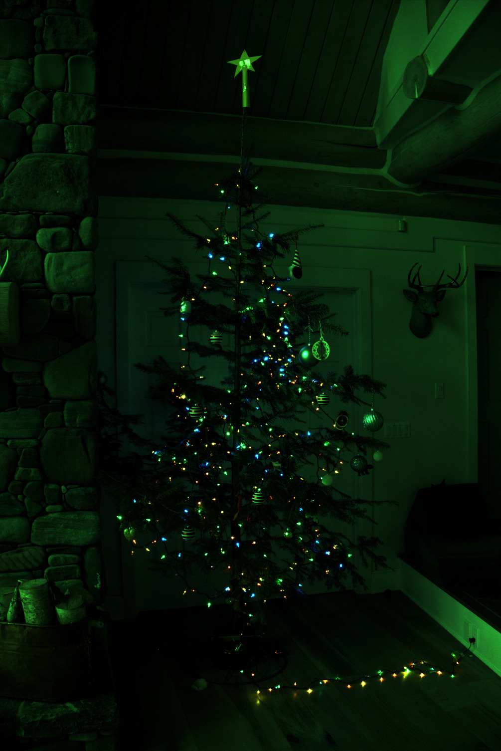 Scaled for visibility