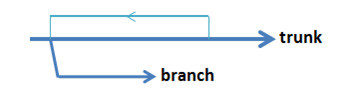 Fig. 1 — Classical reality branching concept