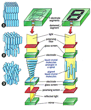 LCD segment animation