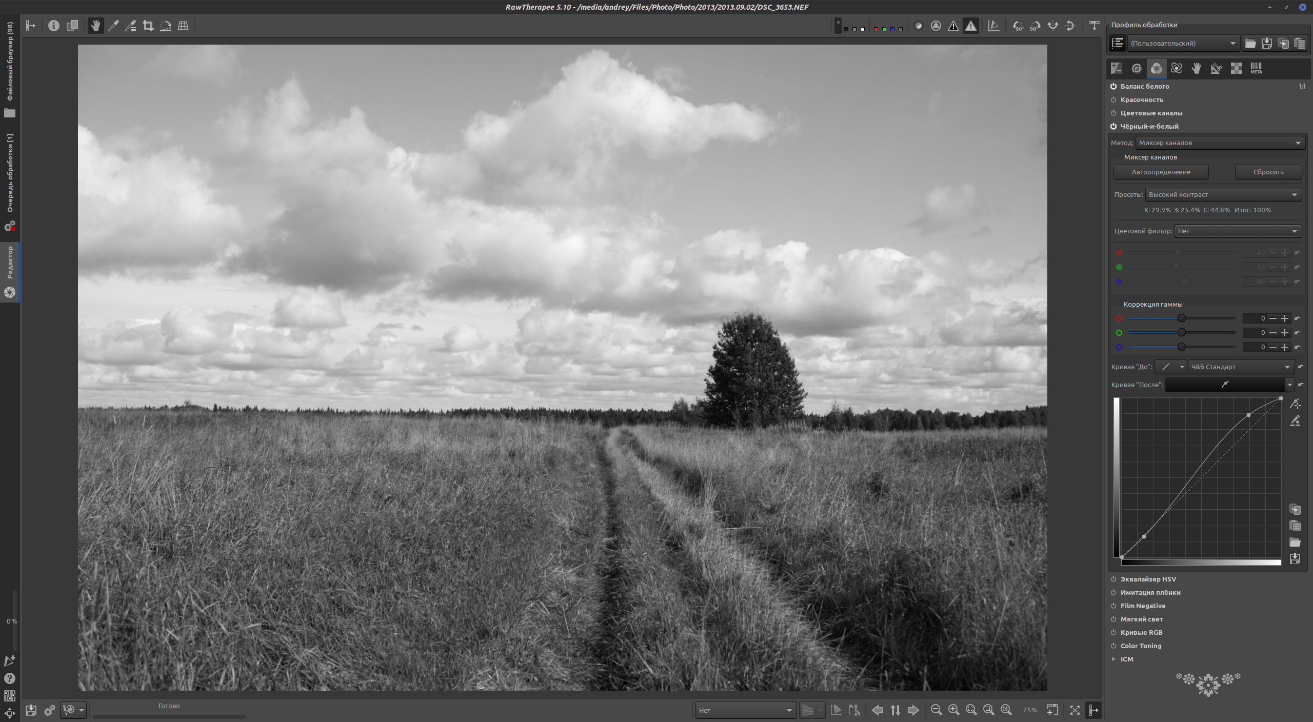 RawTherapee B&W conversion