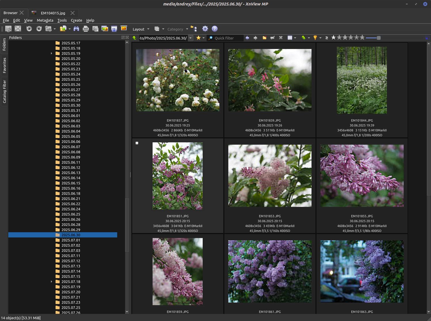 Photo archive structure - order and beauty