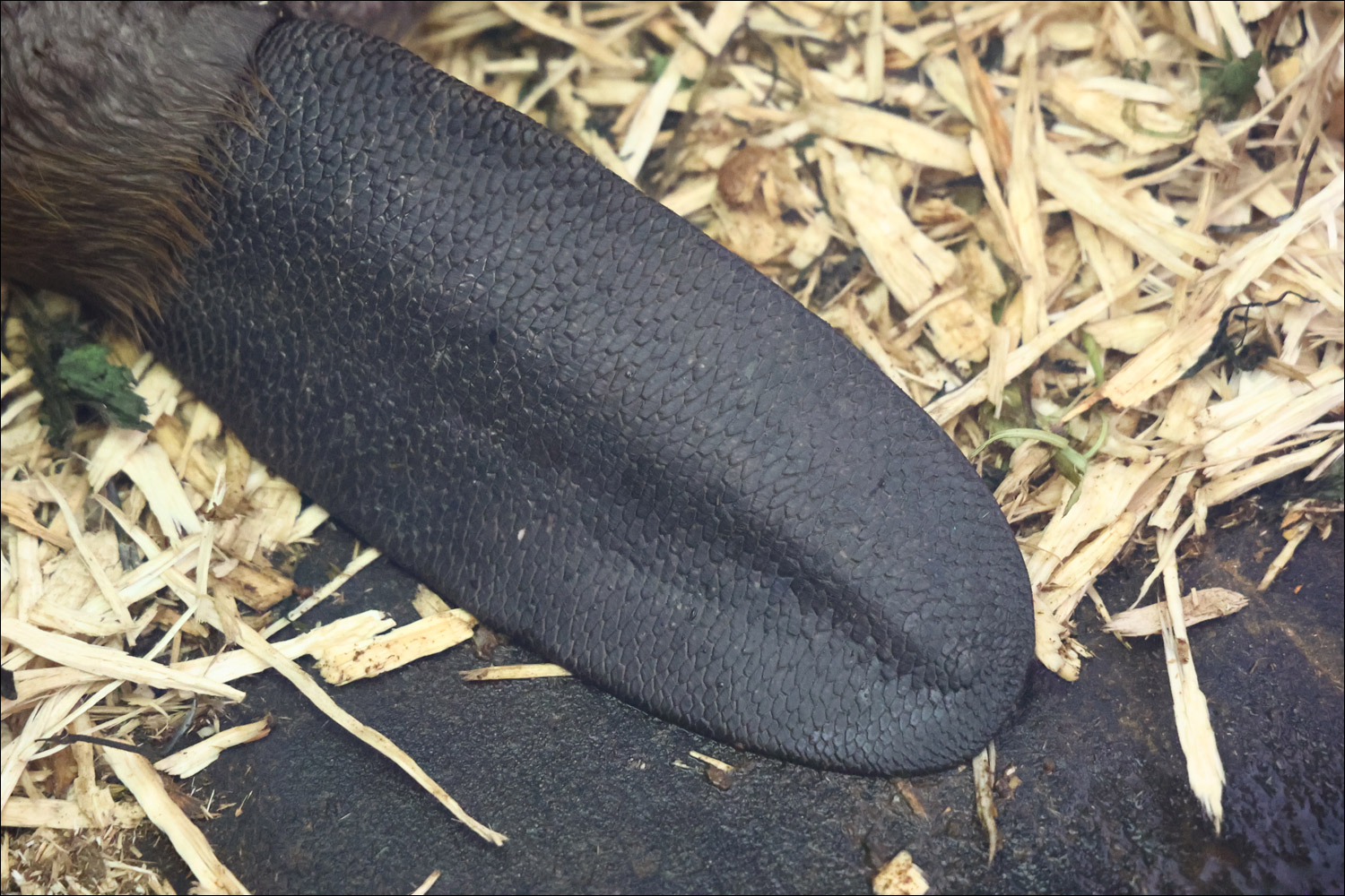 Another research quote