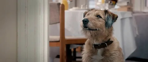 Illustration for Touch simulator. Ch1 We explore capacitive touch screen