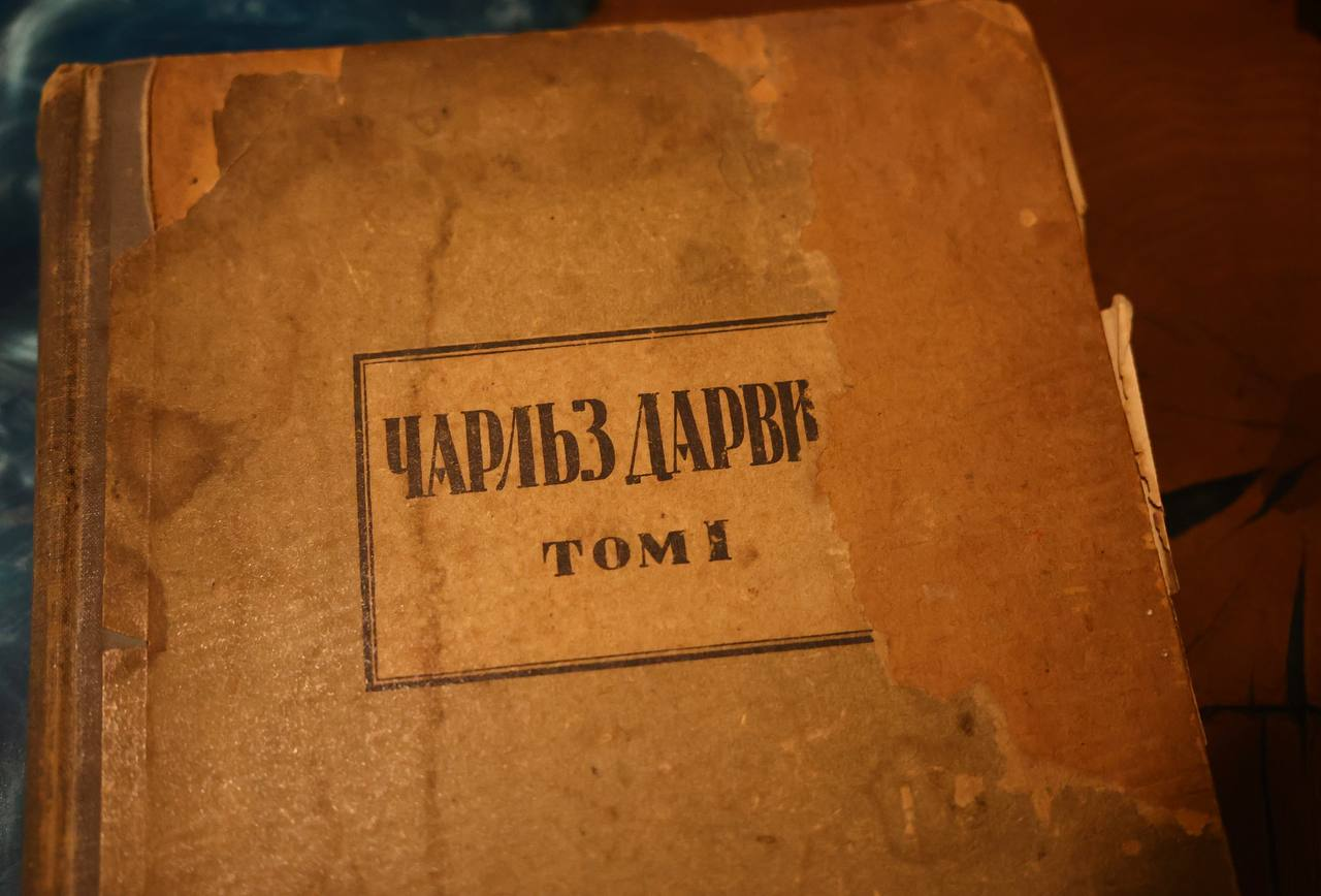 Thermal panel illustration