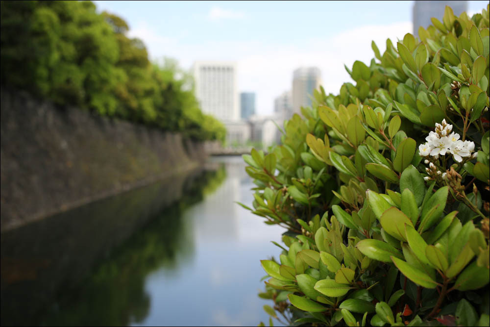 Japanese manhole cover