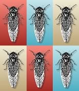 The Cicada Principle and Why It Matters for Web Designers