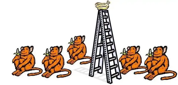 The "5 Monkeys" Experiment Was Never Conducted, and the Reference Study Showed the Opposite Results