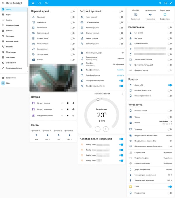 A Clean Break with Alice: Building a Fully Local and Private Voice Assistant
