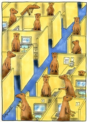 The Energy-Independent Solution