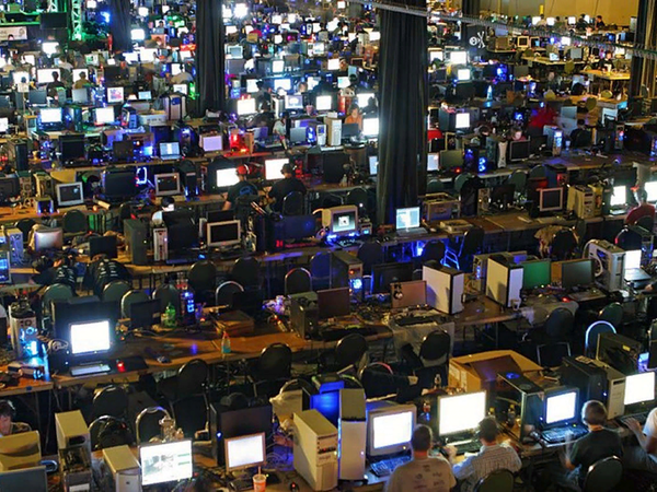 What I Learned from Counseling 100 IT Professionals