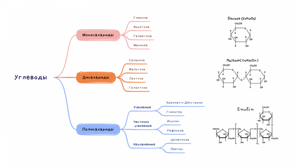 What Can Replace Sugar? A Comprehensive Guide to Alternatives and Sweeteners