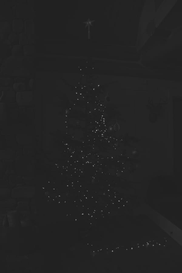 What a Raw Photo Actually Looks Like