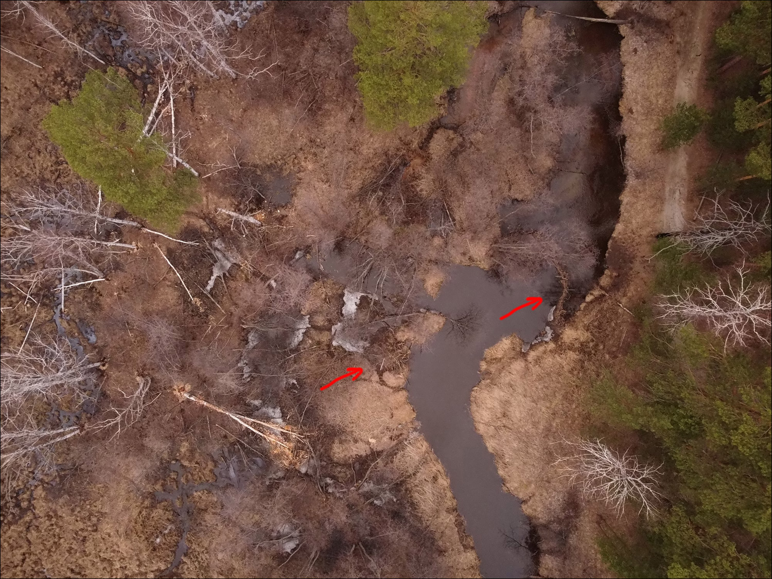Lodge seen from ground level